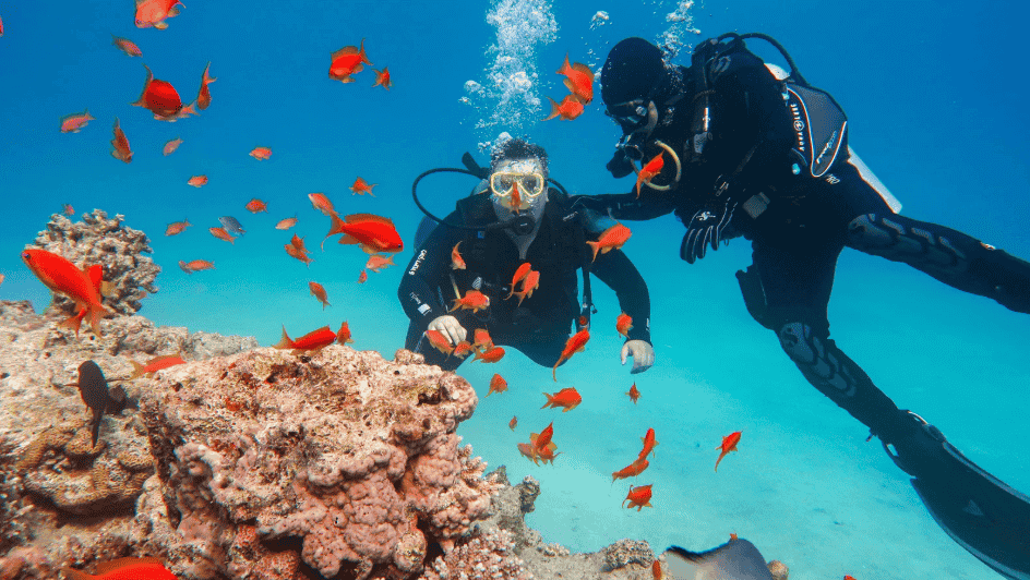 Bali scuba diving