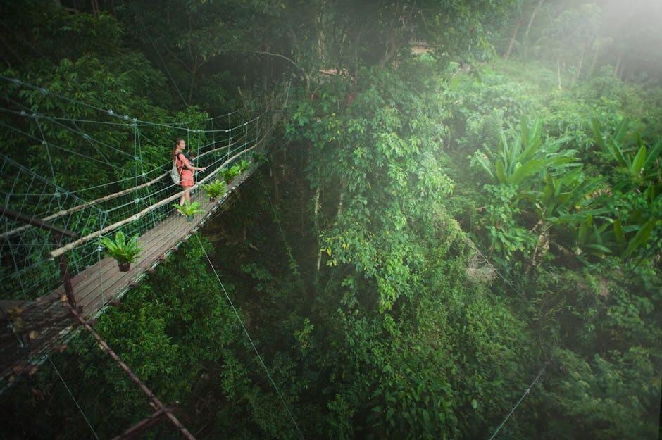 pexels-photo-1004542-1004542 A woman walks on a rope bridge amidst a dense, vibrant jungle, capturing the essence of adventure and nature.