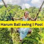 7 Best Things To Do in Ubud, Bali