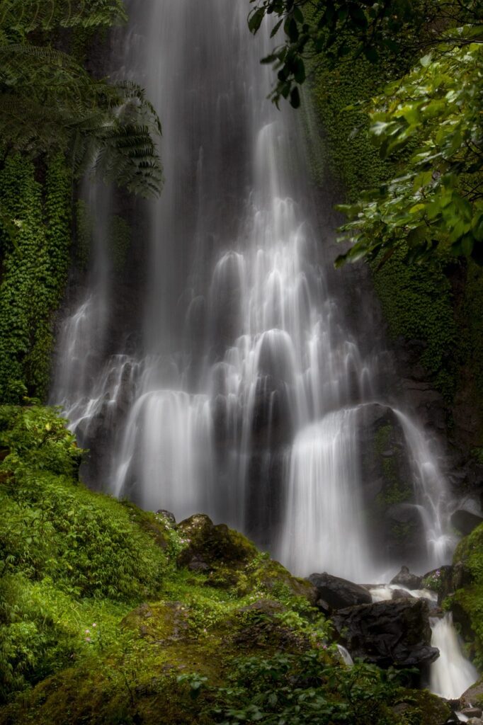 waterfall, water, tree, nature, moss, scenery, natural